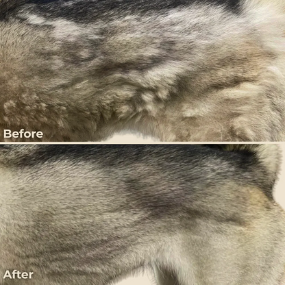 🎉New Arrivals 49% off-Pet Spa Brush （Waterless ）