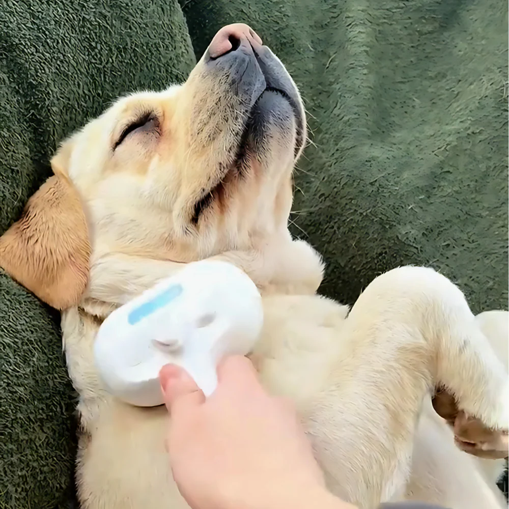 🎉New Arrivals 49% off-Pet Spa Brush （Waterless ）